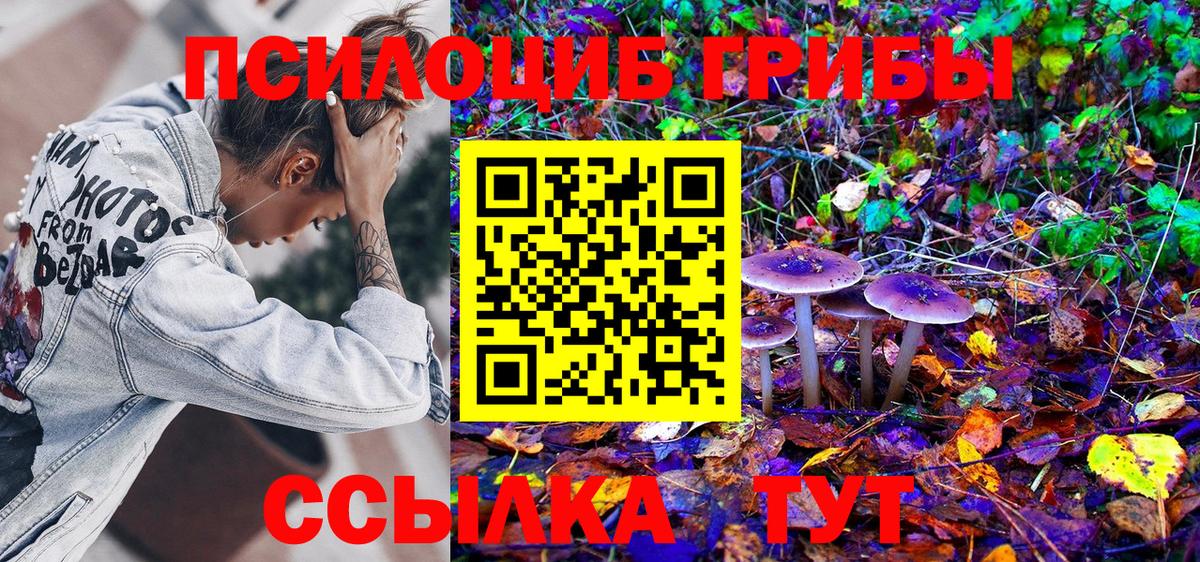 Псилоцибиновые грибы MAGIC MUSHROOMS Волхов